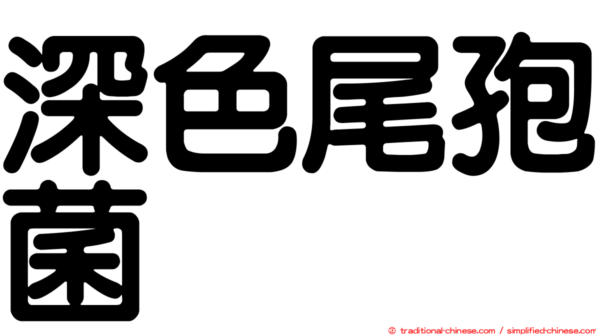 深色尾孢菌