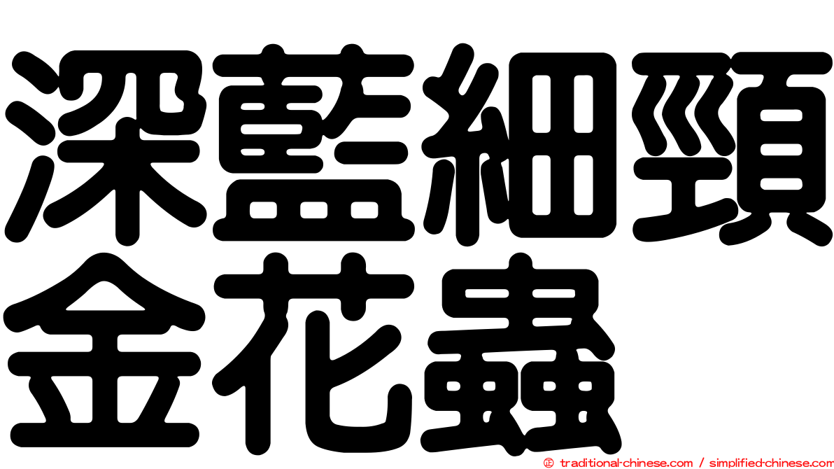 深藍細頸金花蟲