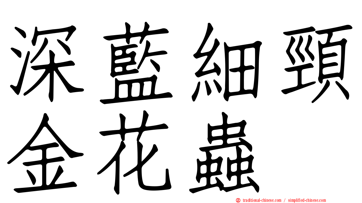 深藍細頸金花蟲
