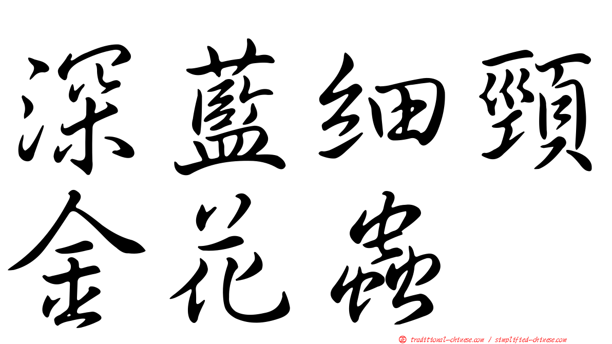 深藍細頸金花蟲
