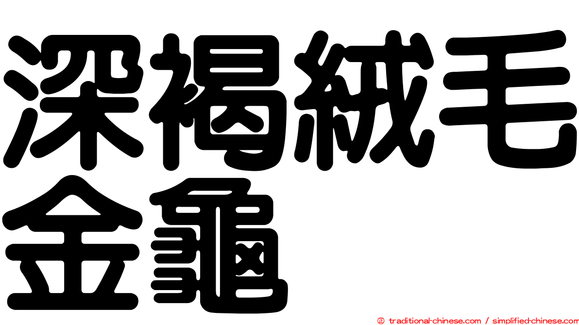 深褐絨毛金龜