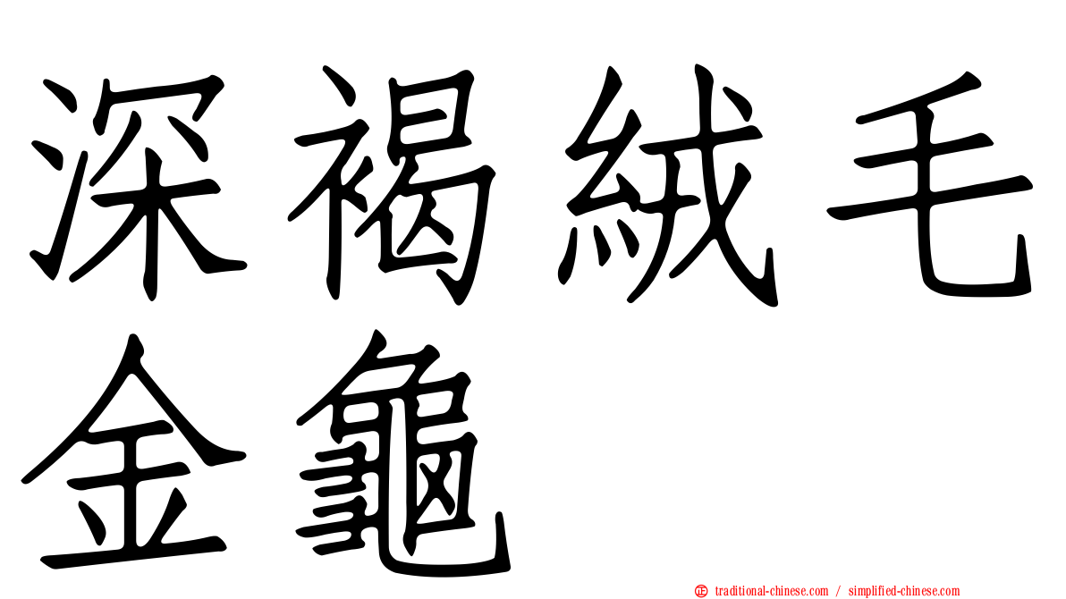 深褐絨毛金龜