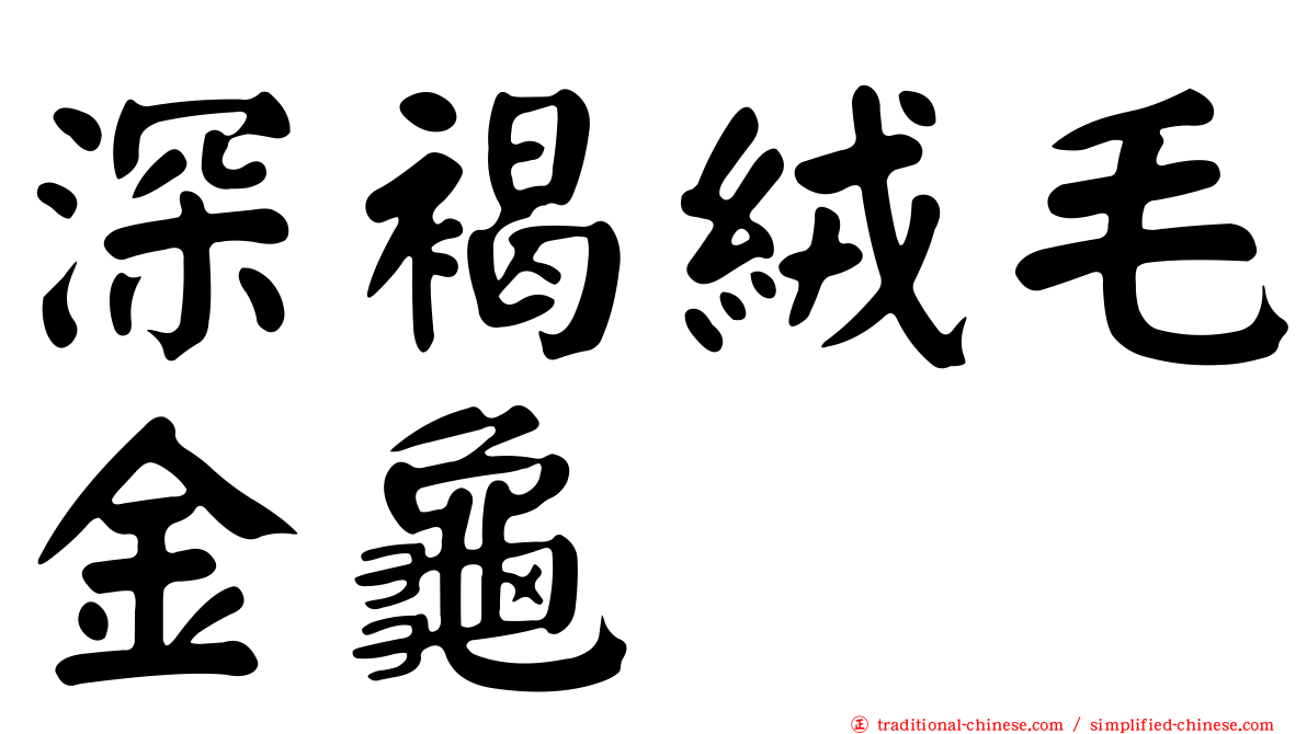 深褐絨毛金龜