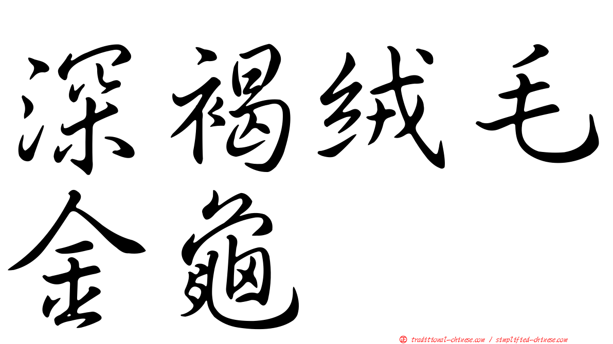 深褐絨毛金龜