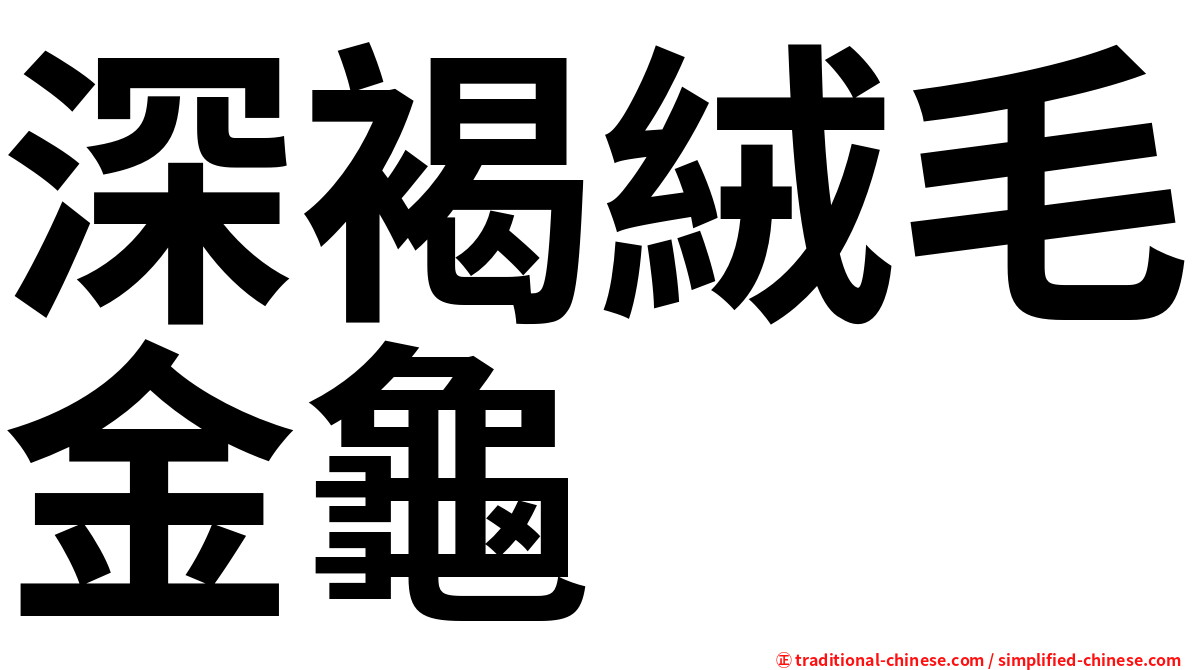 深褐絨毛金龜