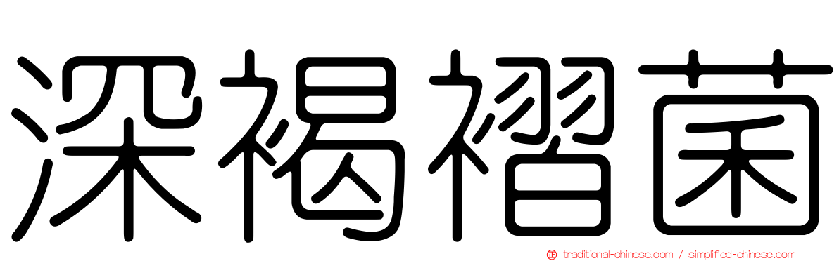 深褐褶菌