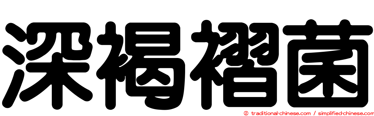 深褐褶菌