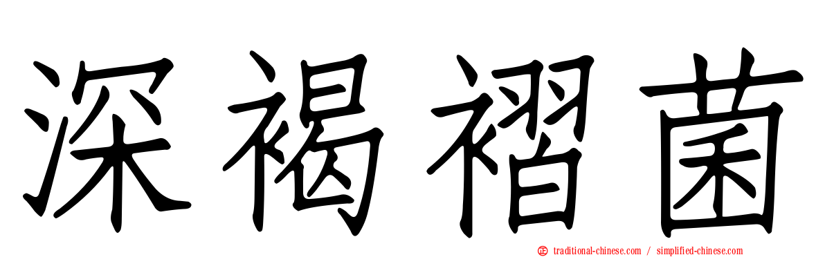 深褐褶菌