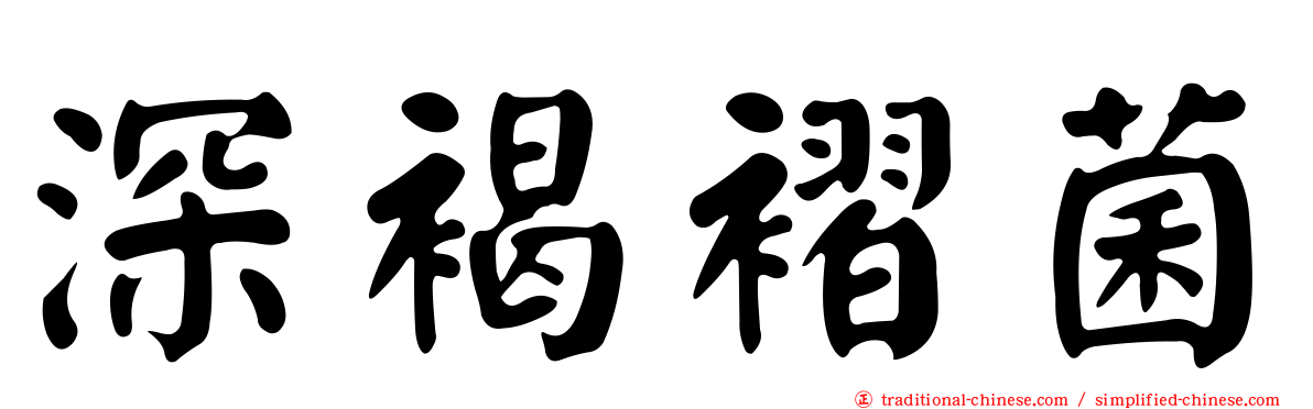 深褐褶菌