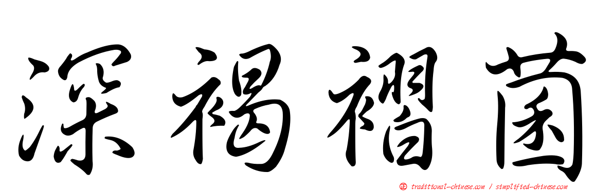 深褐褶菌