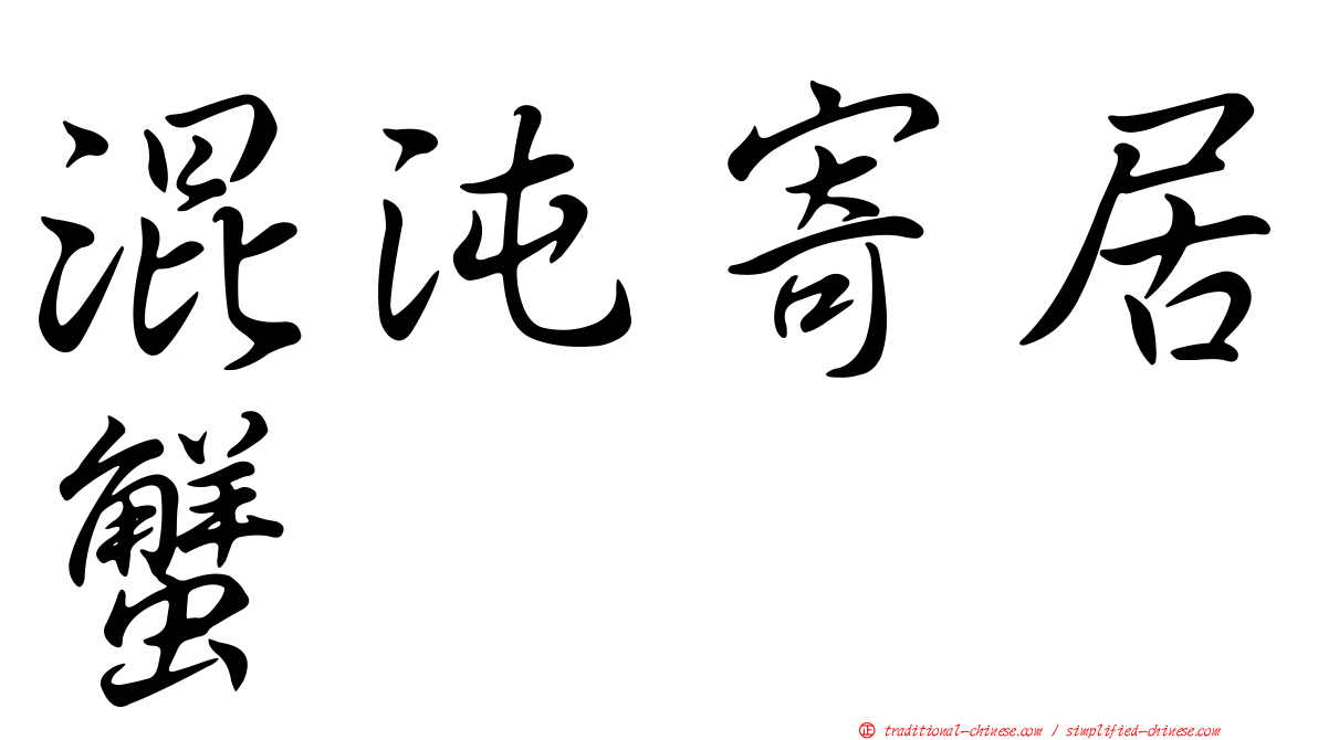 混沌寄居蟹