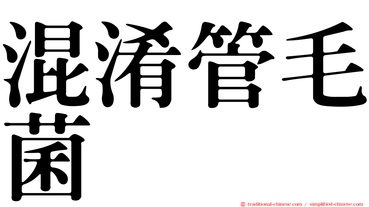 混淆管毛菌