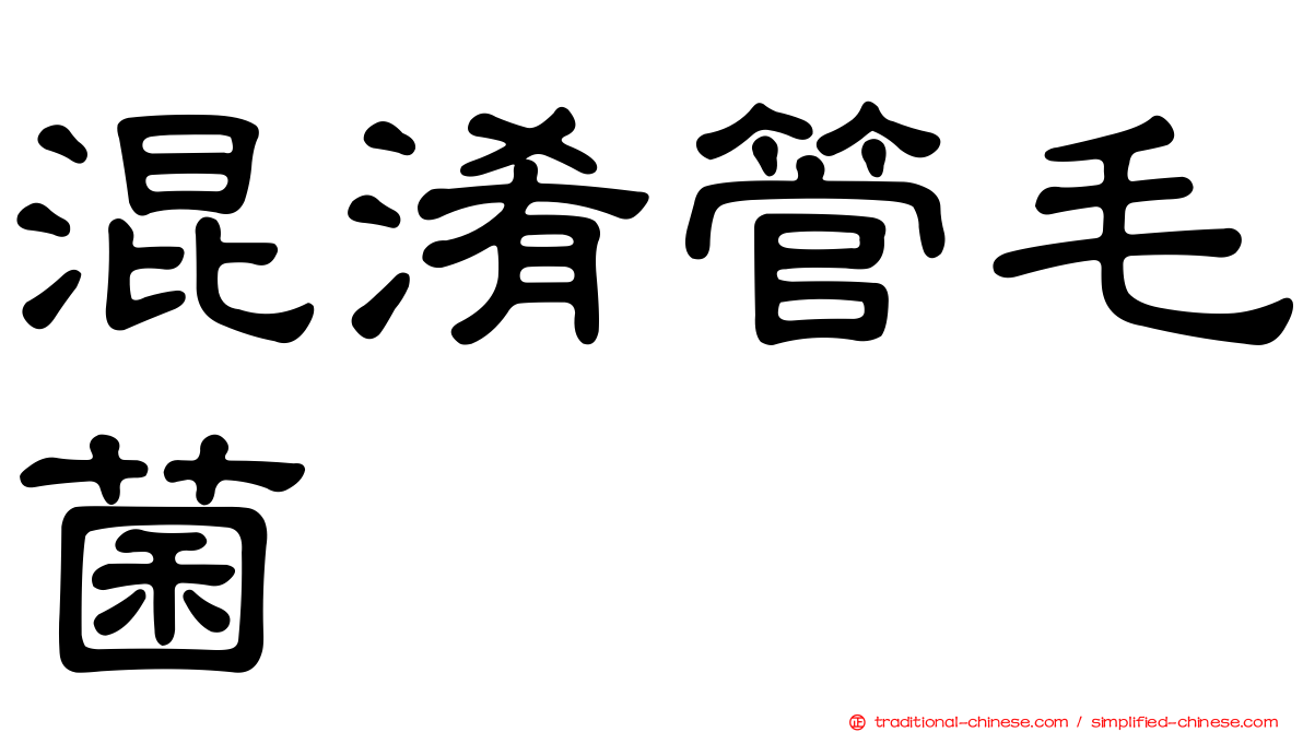 混淆管毛菌