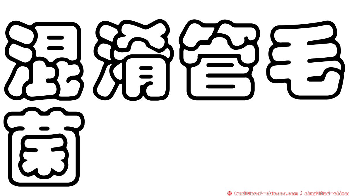 混淆管毛菌