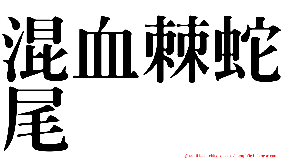 混血棘蛇尾