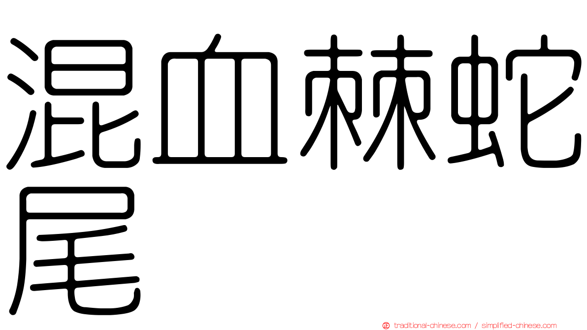 混血棘蛇尾