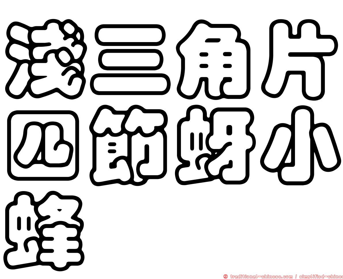 淺三角片四節蚜小蜂