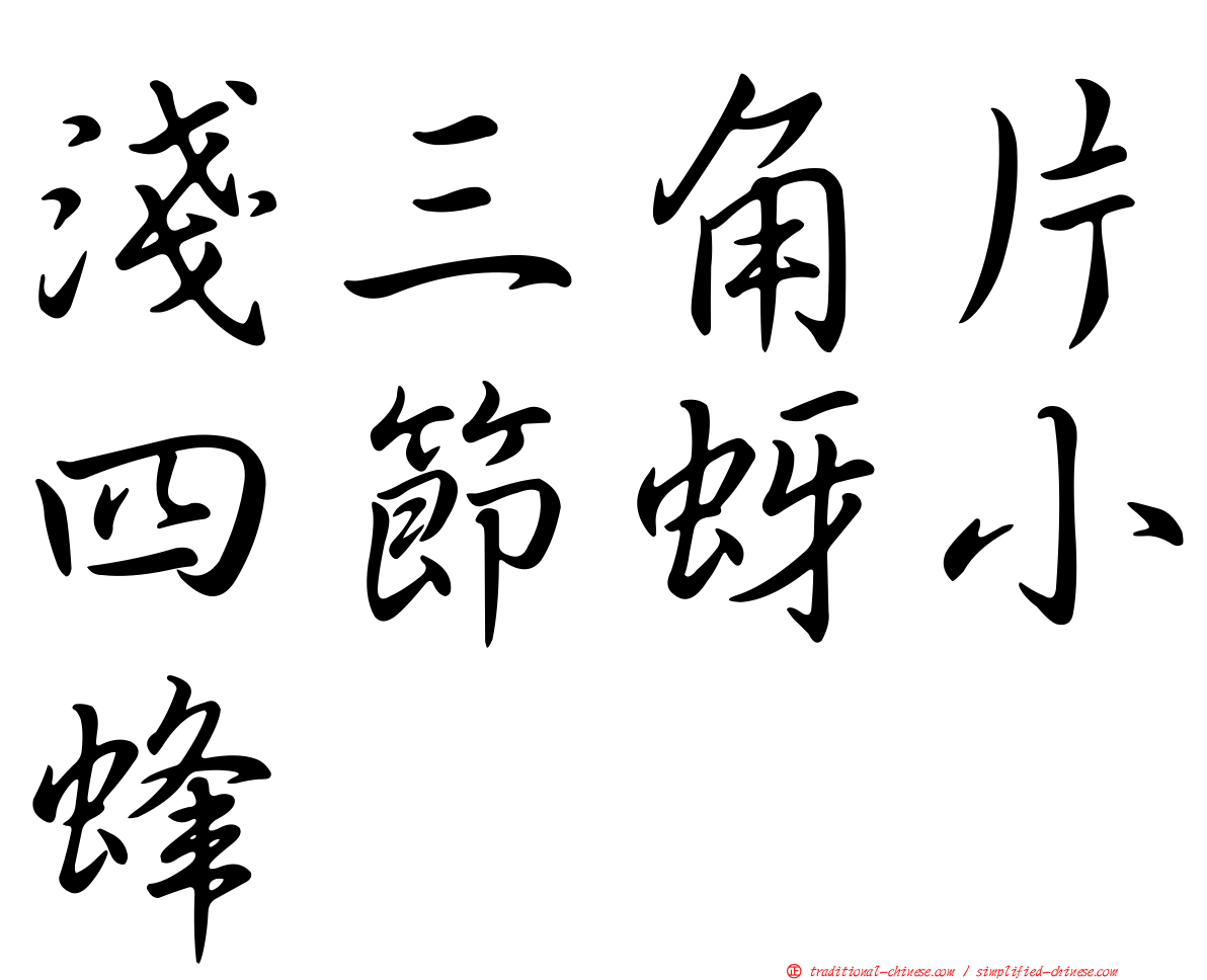 淺三角片四節蚜小蜂