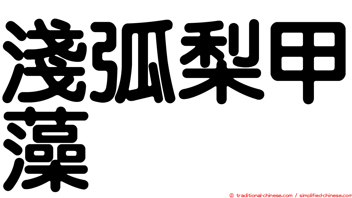 淺弧梨甲藻
