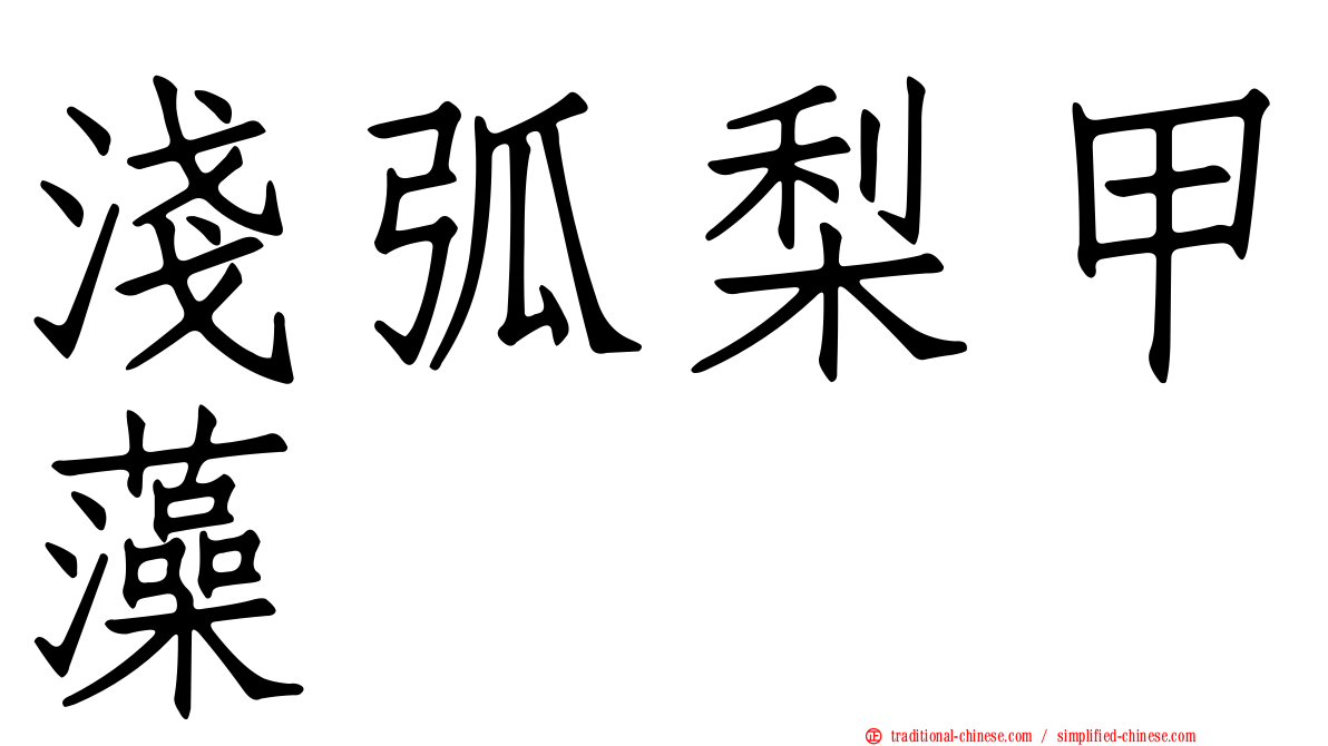 淺弧梨甲藻