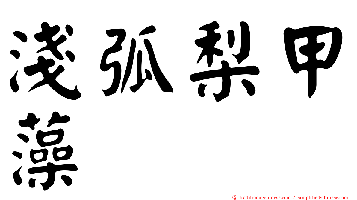 淺弧梨甲藻