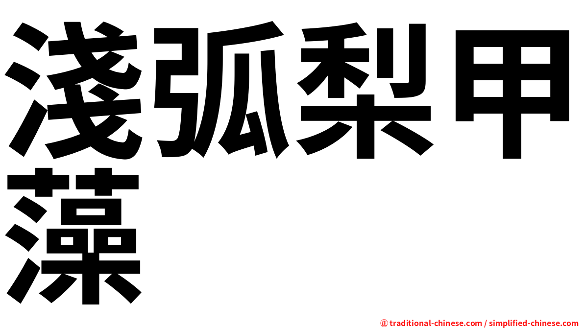 淺弧梨甲藻