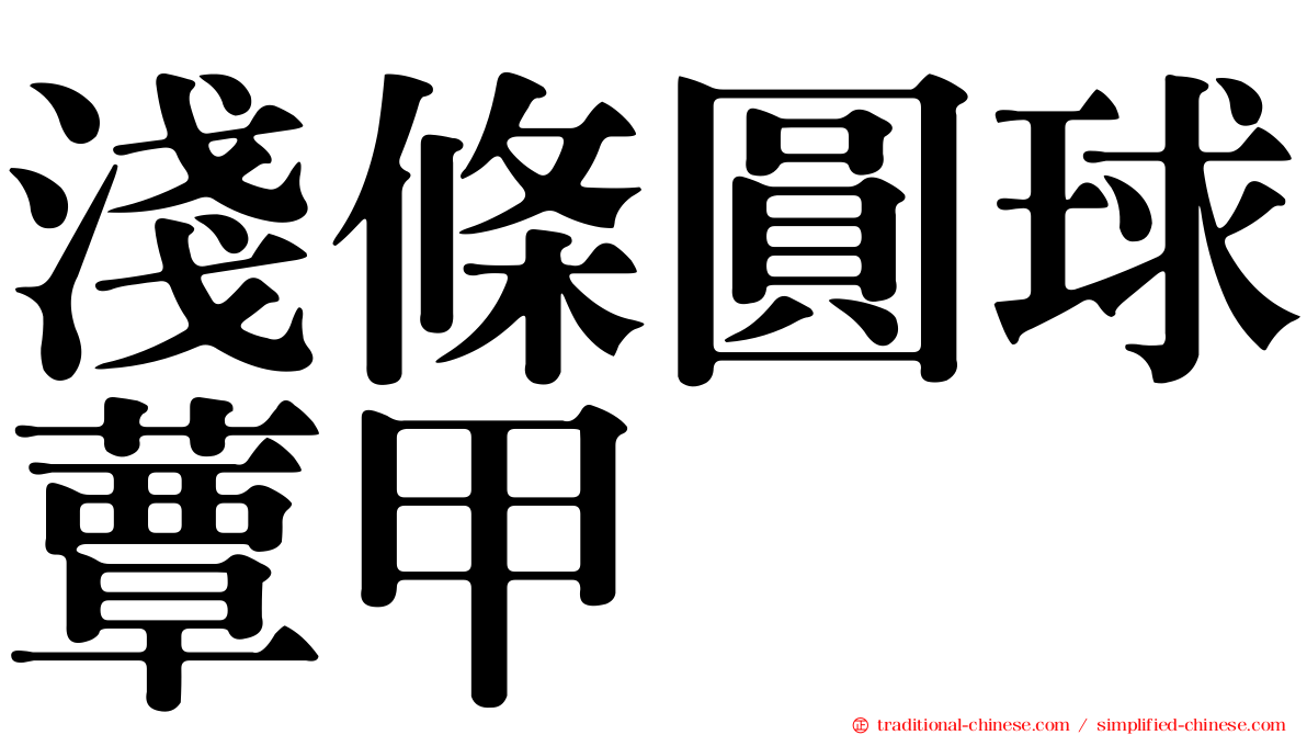 淺條圓球蕈甲