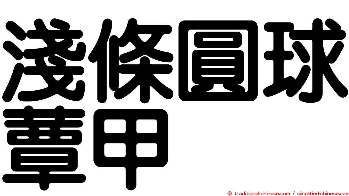 淺條圓球蕈甲