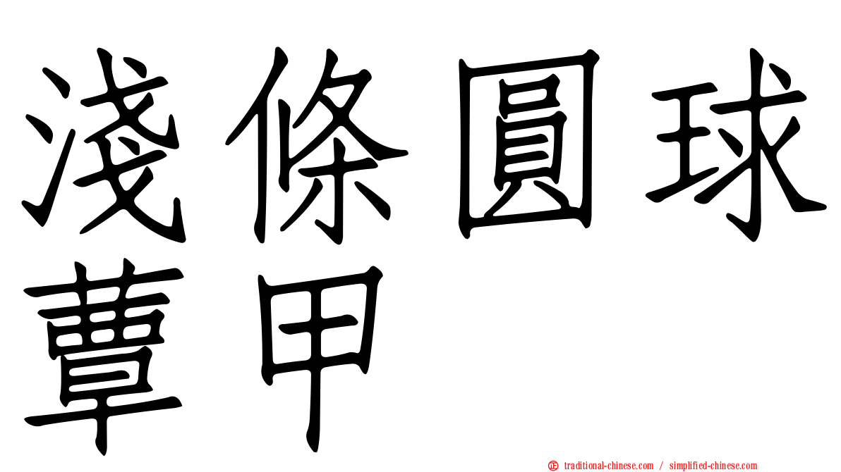 淺條圓球蕈甲