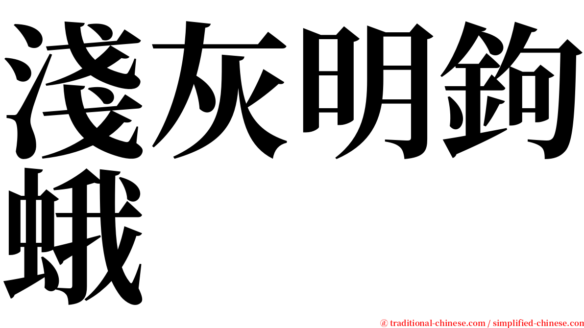 淺灰明鉤蛾 serif font