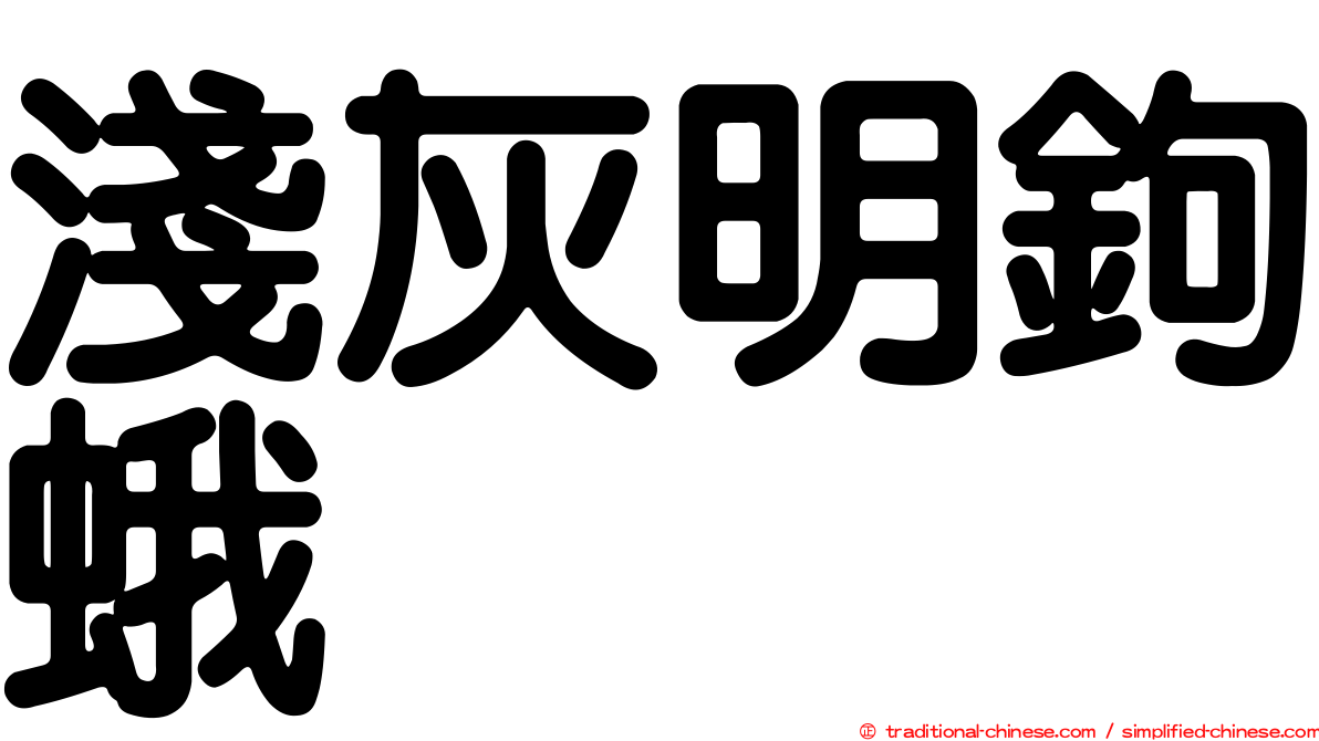 淺灰明鉤蛾