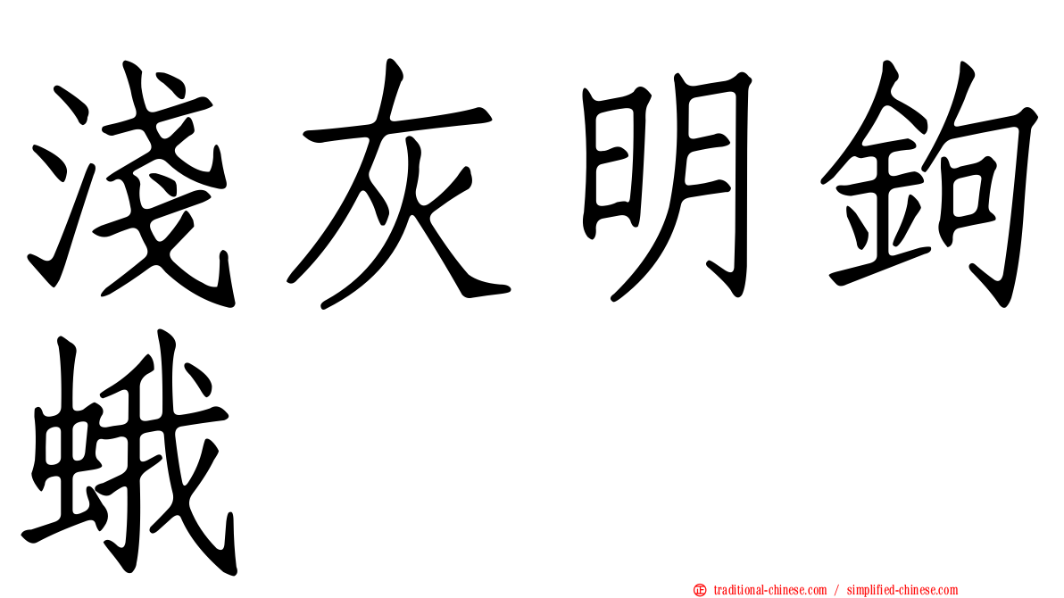 淺灰明鉤蛾