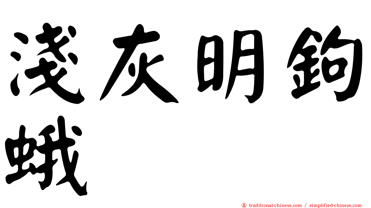 淺灰明鉤蛾