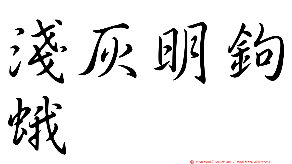 淺灰明鉤蛾