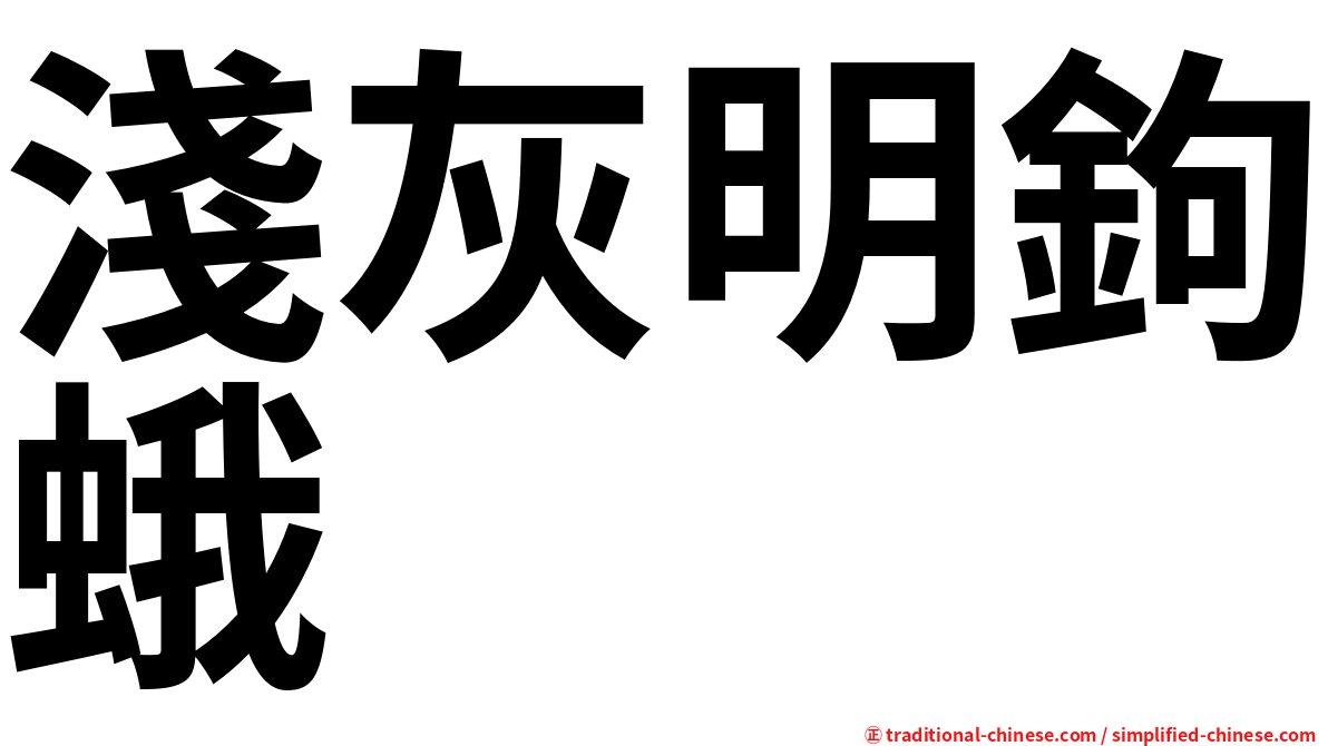 淺灰明鉤蛾