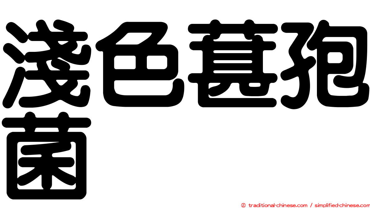 淺色葚孢菌