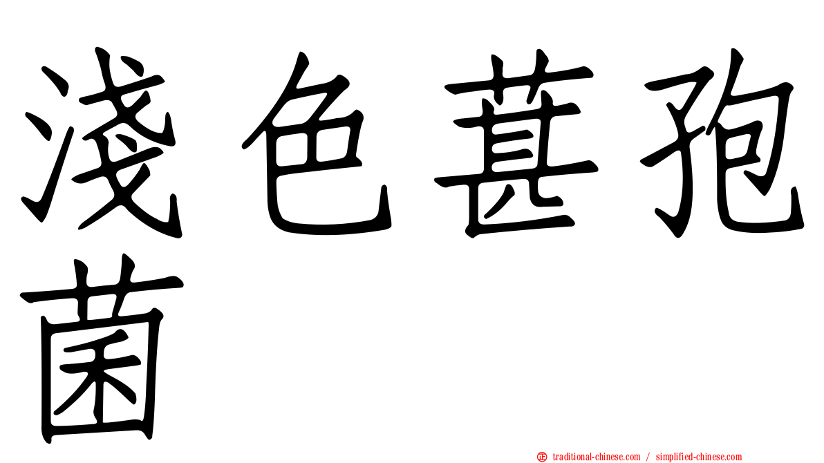 淺色葚孢菌