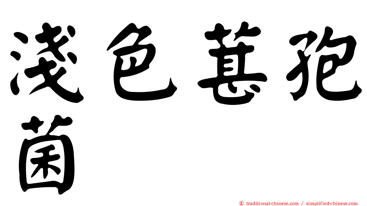 淺色葚孢菌