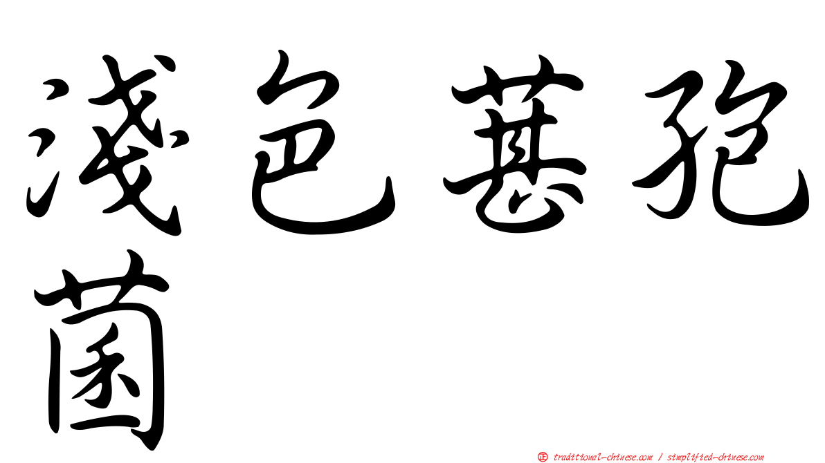 淺色葚孢菌