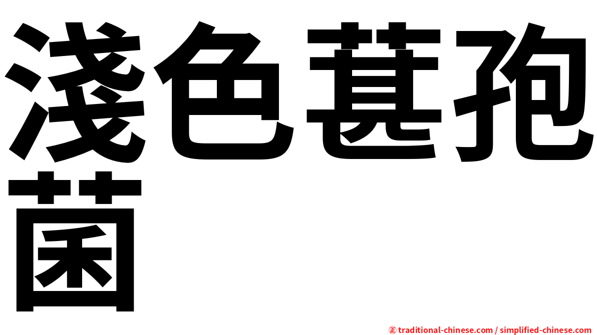 淺色葚孢菌