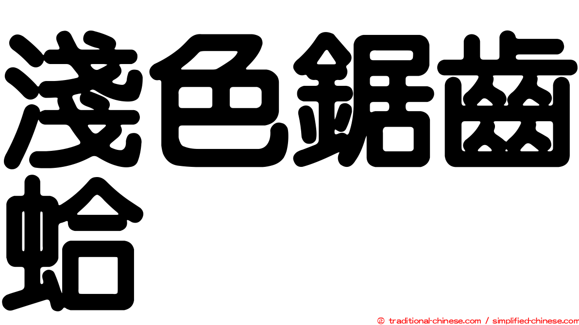 淺色鋸齒蛤