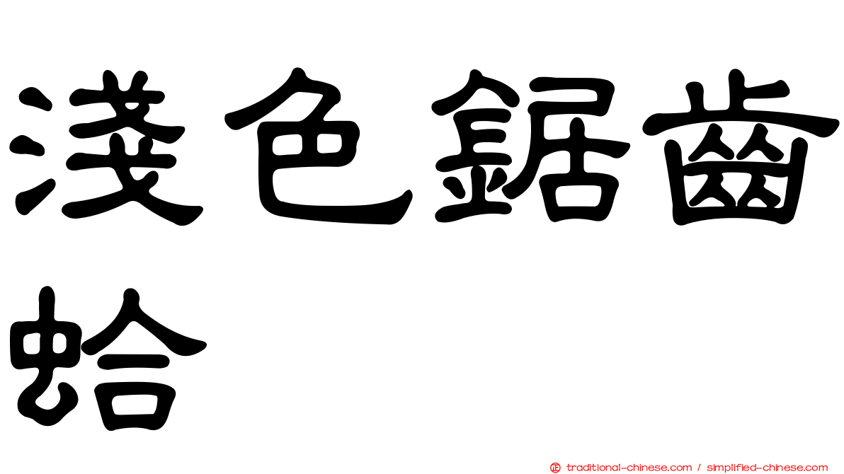 淺色鋸齒蛤