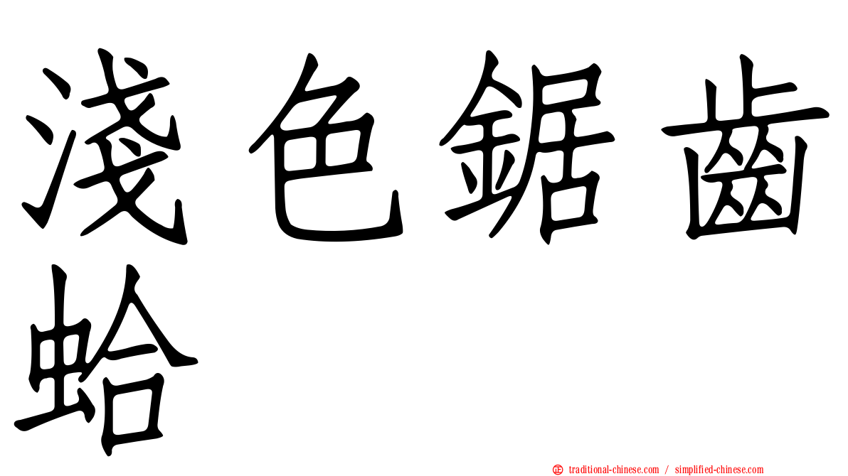 淺色鋸齒蛤