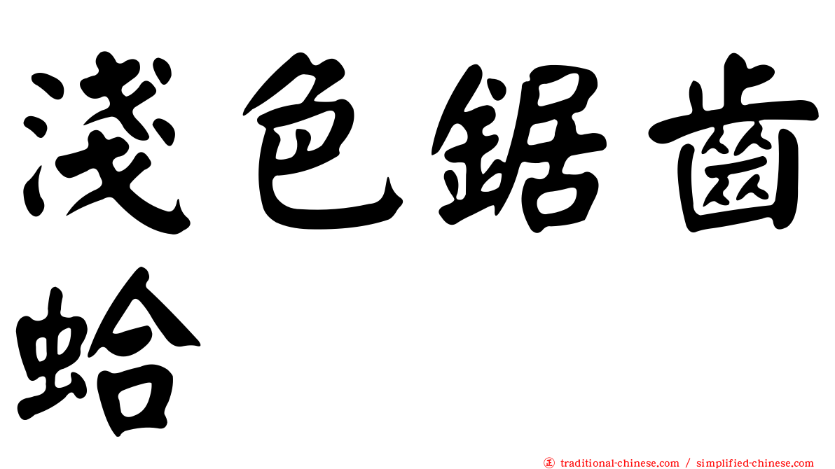 淺色鋸齒蛤