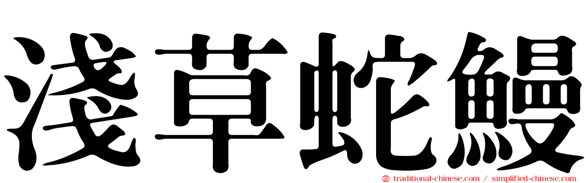 淺草蛇鰻