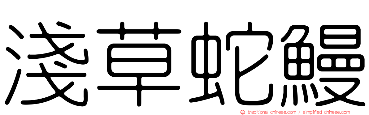 淺草蛇鰻