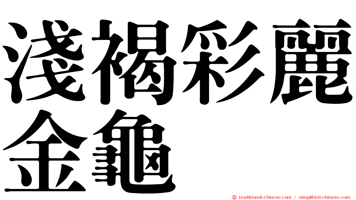 淺褐彩麗金龜