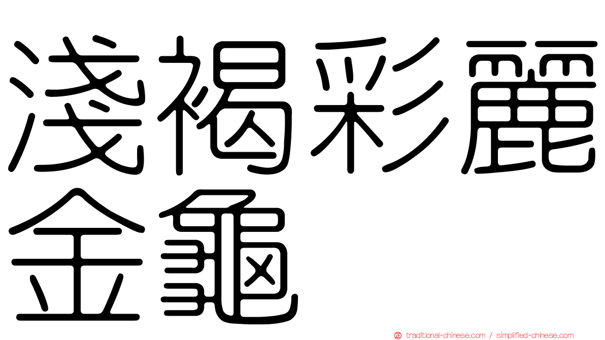 淺褐彩麗金龜