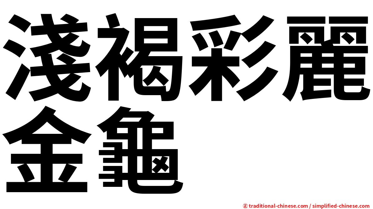 淺褐彩麗金龜