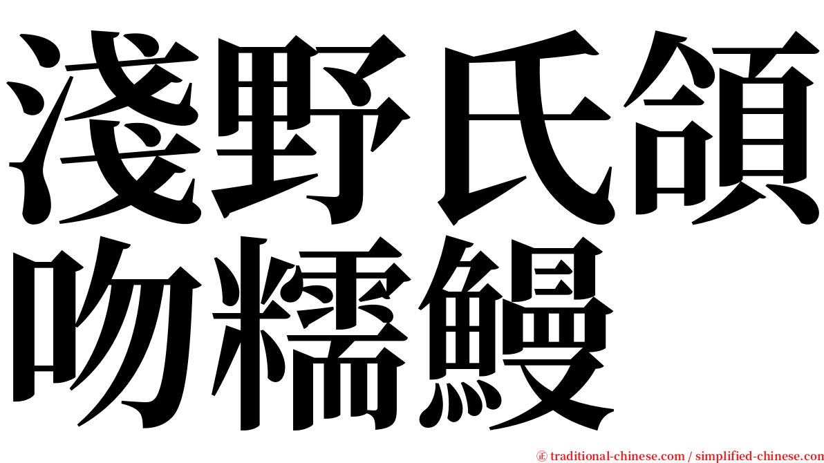 淺野氏頜吻糯鰻 serif font